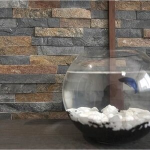 Облицовъчно пано за стена от шистов камък Сахара 15 х 60 см