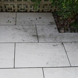 LTP Profesional Black Spot & Algae Remover, препарат за отстраняване на органични замърсявания, 5 л