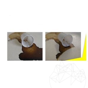 Професионален препарат MGP 1 за премахване на органични петна 500мл