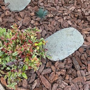 Японски градински стъпки от цепен шистов камък с чукнати ръбчета Кавала 