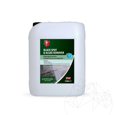 LTP Profesional Black Spot & Algae Remover, препарат за отстраняване на органични замърсявания, 5 л