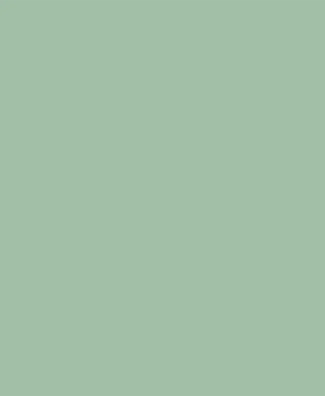 Chit Rosturi - Weber Color Design Olive (5kg)