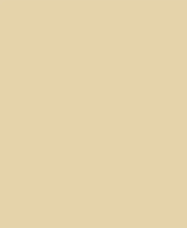 Chit Rosturi - Weber Color Design Sesame (5kg)