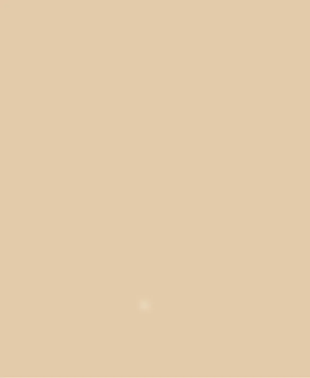 Chit rosturi - MULTIFILL-STONE (16) LIGHT OCHRE, 25 kg