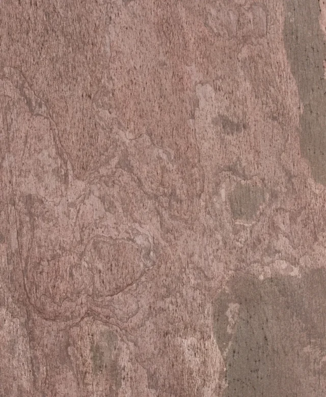 ARDF-5289