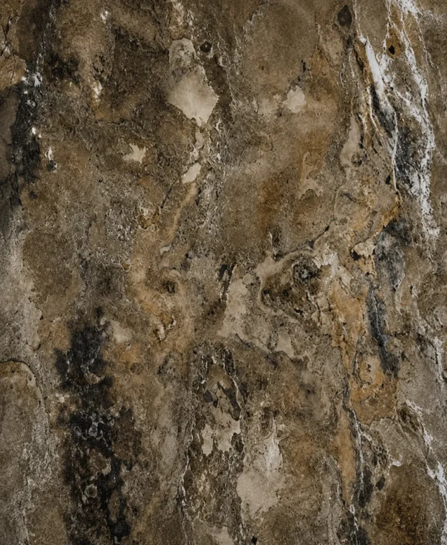 Каменни тапети SKIN Autumn Rustic (прозирни), 185 x 61 см