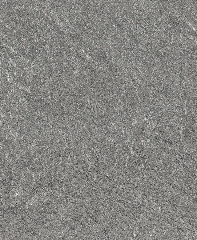LAP-0009