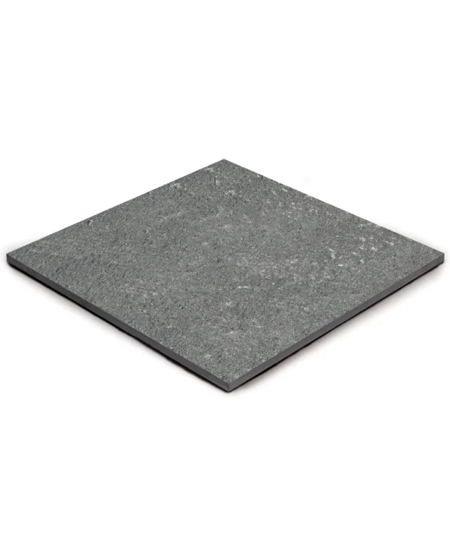 LAP-0009