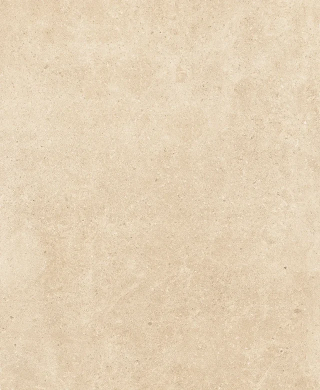 LAP-0031