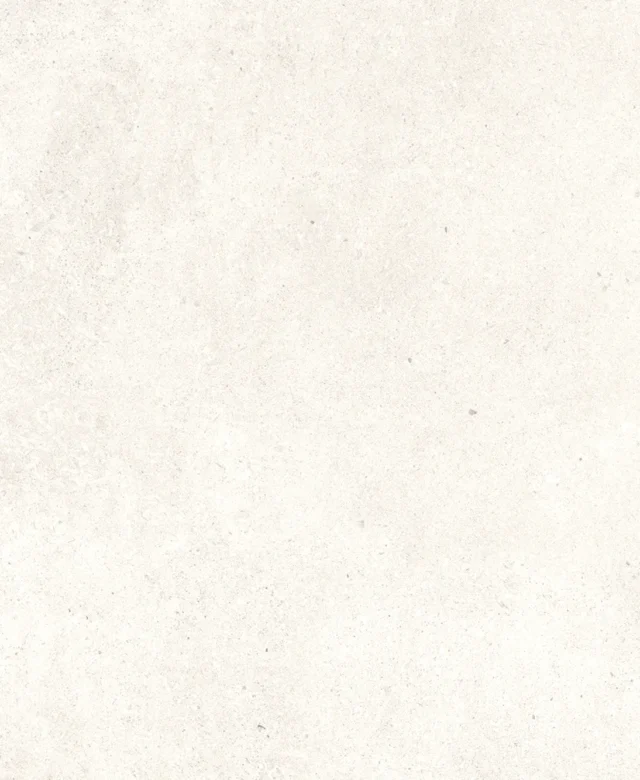 LAP-0060